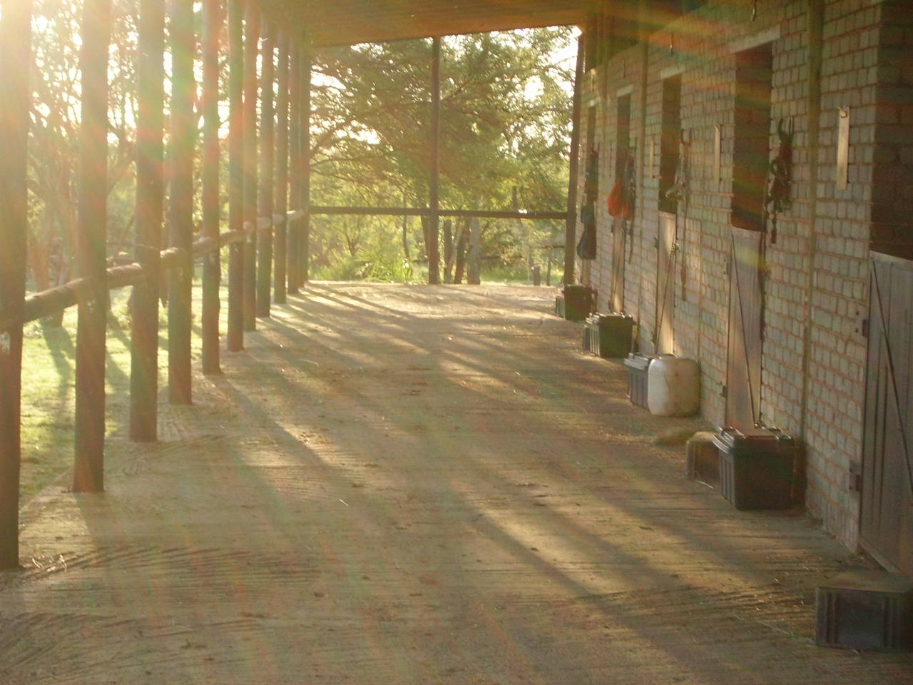stables in Pretoria