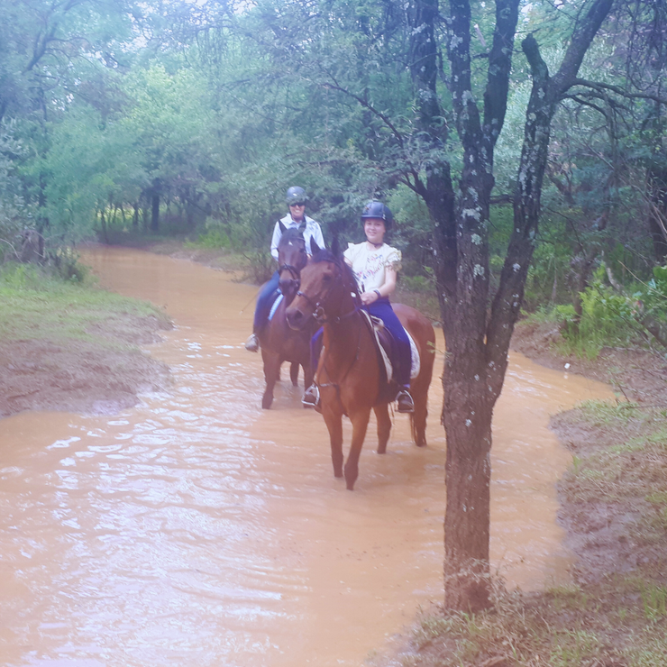 eventing pretoria
