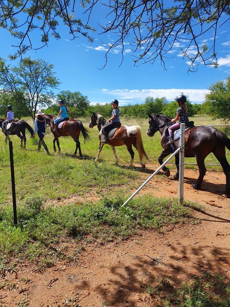 equine camps