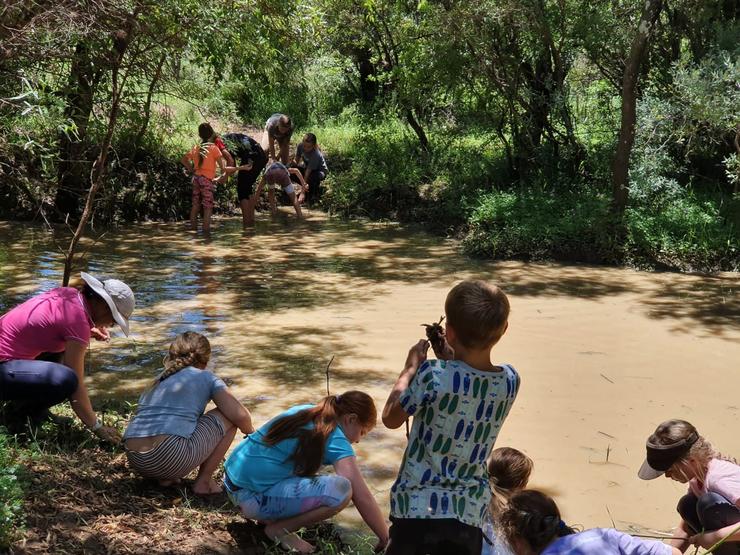 pony camp pretoria